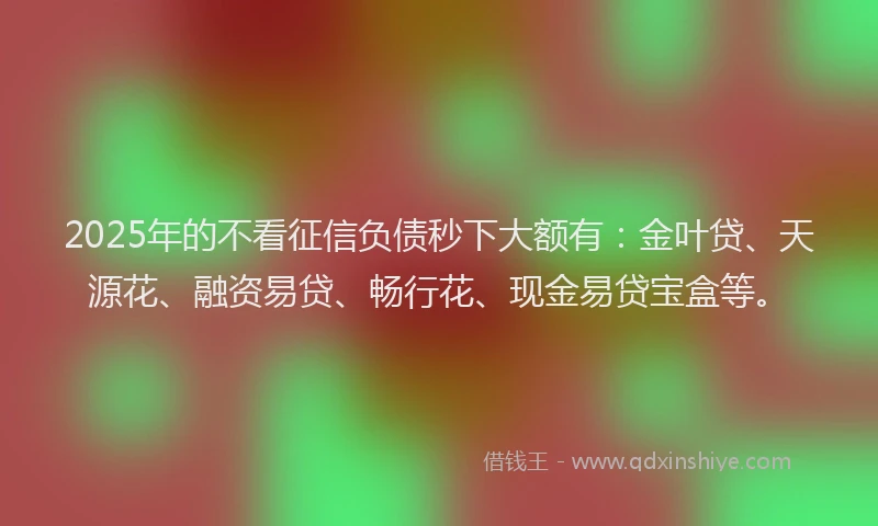 2025年的不看征信负债秒下大额有：金叶贷、天源花、融资易贷、畅行花、现金易贷宝盒等。