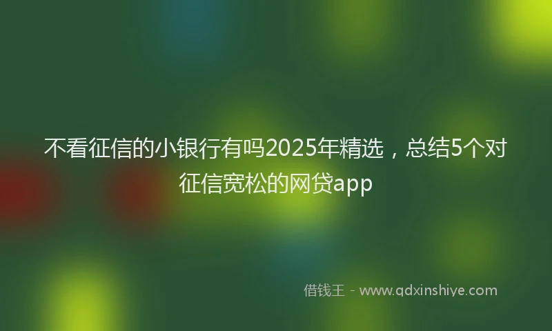 不看征信的小银行有吗2025年精选，总结5个对征信宽松的网贷app