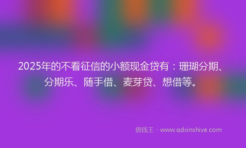 2025年的不看征信的小额现金贷有：珊瑚分期、分期乐、随手借、麦芽贷、想借等。