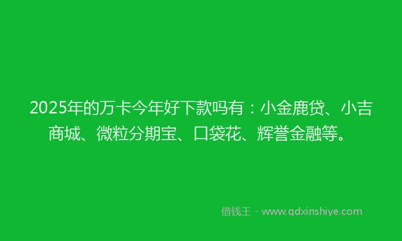 2025年的万卡今年好下款吗有：小金鹿贷、小吉商城、微粒分期宝、口袋花、辉誉金融等。