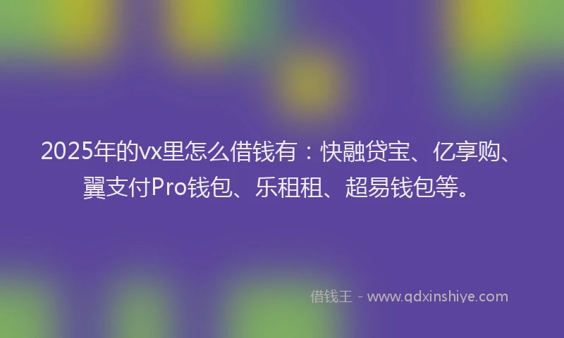 2025年的vx里怎么借钱有：快融贷宝、亿享购、翼支付Pro钱包、乐租租、超易钱包等。