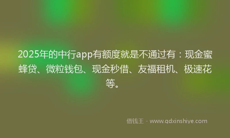 2025年的中行app有额度就是不通过有：现金蜜蜂贷、微粒钱包、现金秒借、友福租机、极速花等。