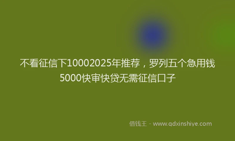 不看征信下10002025年推荐，罗列五个急用钱5000快审快贷无需征信口子