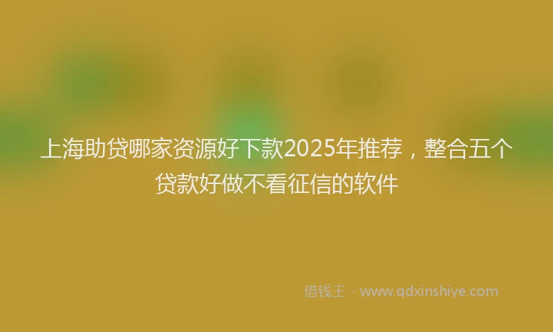 上海助贷哪家资源好下款2025年推荐，整合五个贷款好做不看征信的软件