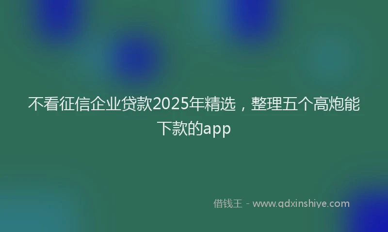不看征信企业贷款2025年精选，整理五个高炮能下款的app