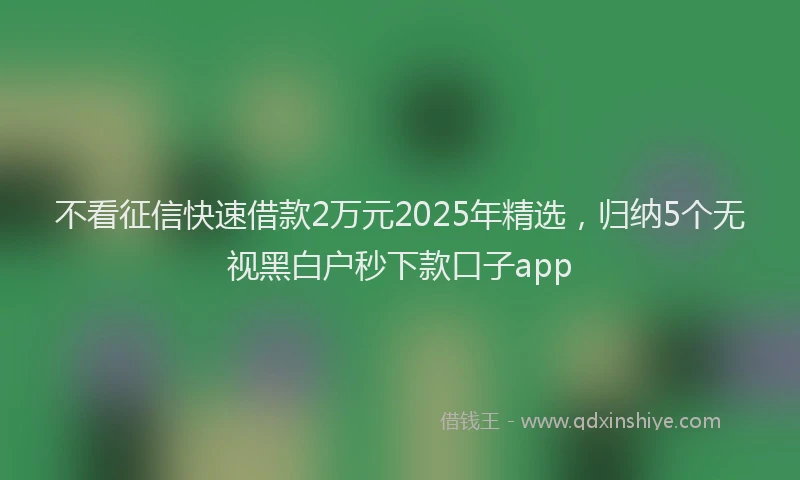 不看征信快速借款2万元2025年精选，归纳5个无视黑白户秒下款口子app