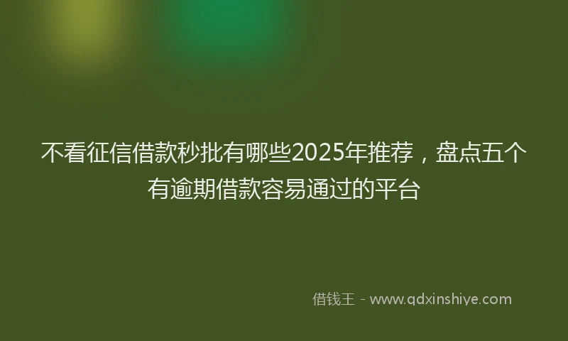 不看征信借款秒批有哪些2025年推荐，盘点五个有逾期借款容易通过的平台