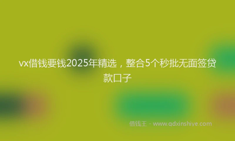 vx借钱要钱2025年精选，整合5个秒批无面签贷款口子