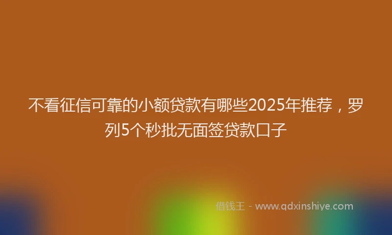 不看征信可靠的小额贷款有哪些2025年推荐，罗列5个秒批无面签贷款口子
