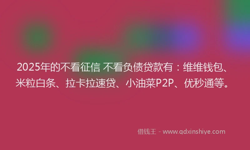 2025年的不看征信 不看负债贷款有：维维钱包、米粒白条、拉卡拉速贷、小油菜P2P、优秒通等。