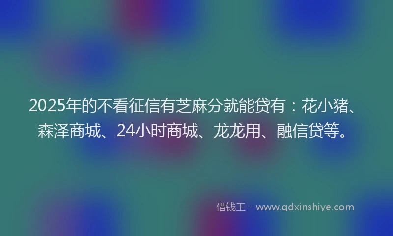 2025年的不看征信有芝麻分就能贷有：花小猪、森泽商城、24小时商城、龙龙用、融信贷等。