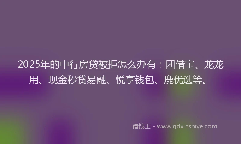2025年的中行房贷被拒怎么办有：团借宝、龙龙用、现金秒贷易融、悦享钱包、鹿优选等。