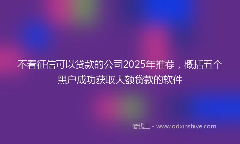 不看征信可以贷款的公司2025年推荐，概括五个黑户成功获取大额贷款的软件