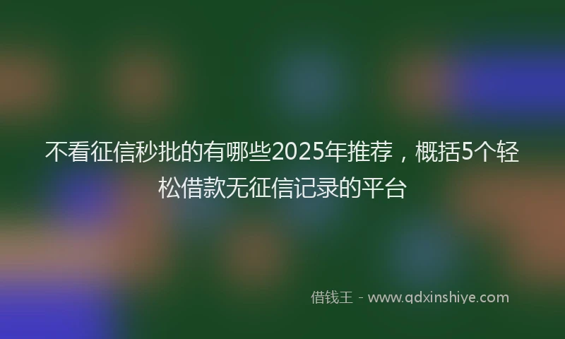 不看征信秒批的有哪些2025年推荐，概括5个轻松借款无征信记录的平台