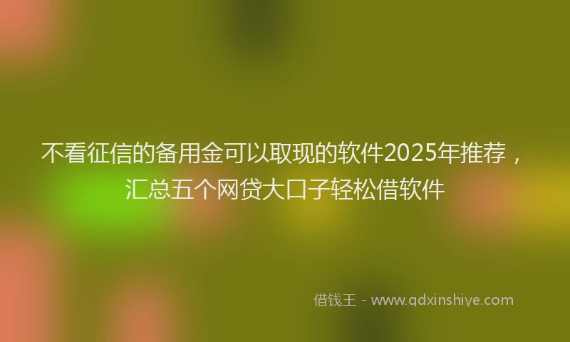 不看征信的备用金可以取现的软件2025年推荐，汇总五个网贷大口子轻松借软件