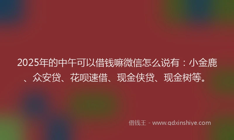 2025年的中午可以借钱嘛微信怎么说有：小金鹿、众安贷、花呗速借、现金侠贷、现金树等。