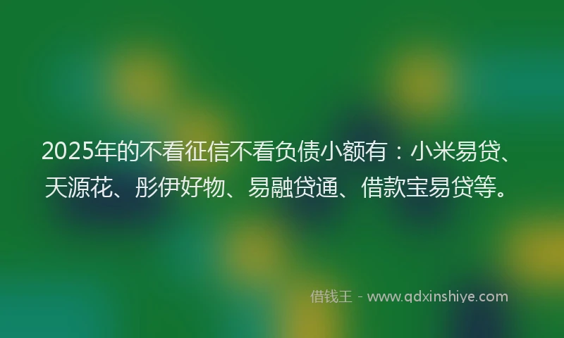 2025年的不看征信不看负债小额有：小米易贷、天源花、彤伊好物、易融贷通、借款宝易贷等。