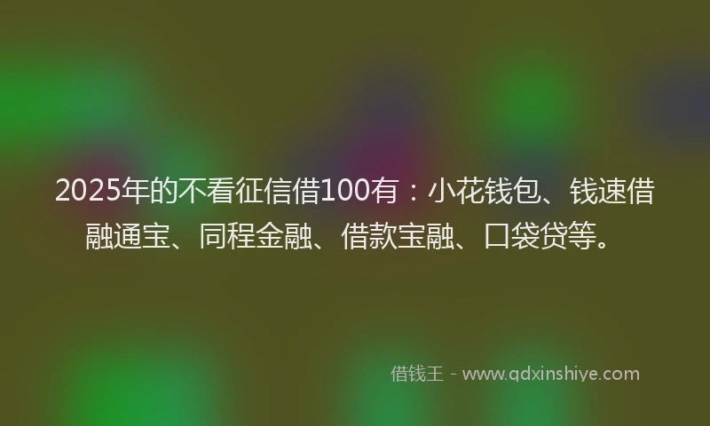 2025年的不看征信借100有：小花钱包、钱速借融通宝、同程金融、借款宝融、口袋贷等。