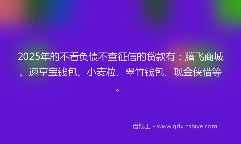 2025年的不看负债不查征信的贷款有：腾飞商城、速享宝钱包、小麦粒、翠竹钱包、现金侠借等。