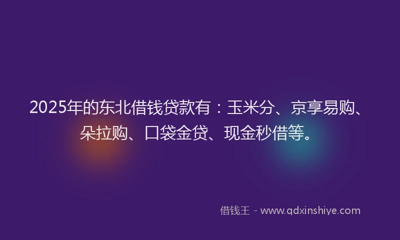 2025年的东北借钱贷款有：玉米分、京享易购、朵拉购、口袋金贷、现金秒借等。