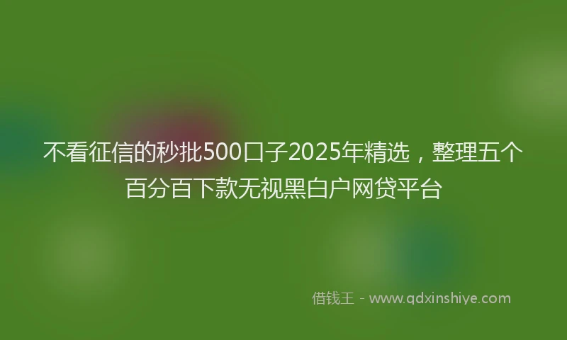不看征信的秒批500口子2025年精选，整理五个百分百下款无视黑白户网贷平台