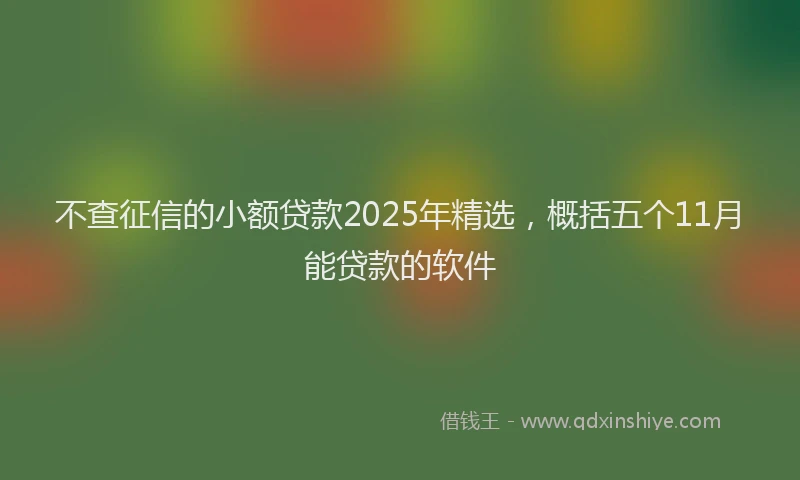 不查征信的小额贷款2025年精选，概括五个11月能贷款的软件
