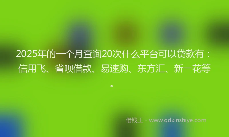 2025年的一个月查询20次什么平台可以贷款有：信用飞、省呗借款、易速购、东方汇、新一花等。