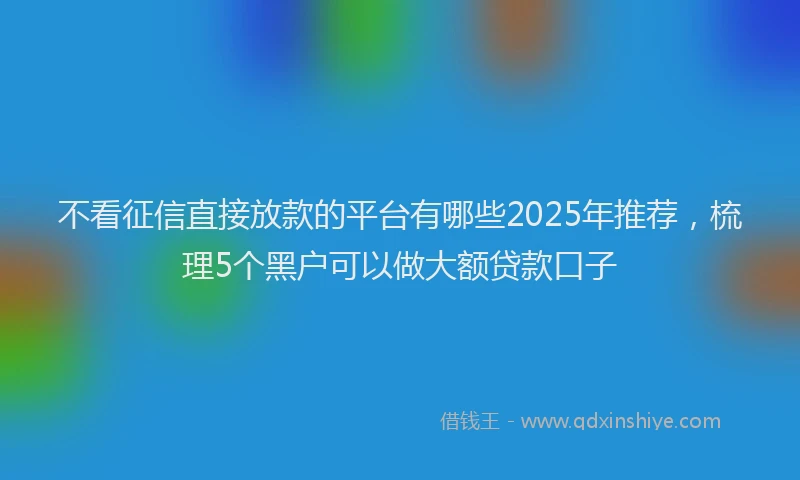 不看征信直接放款的平台有哪些2025年推荐,梳理5个黑户可以做大额贷款口子