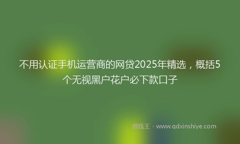 不用认证手机运营商的网贷2025年精选，概括5个无视黑户花户必下款口子