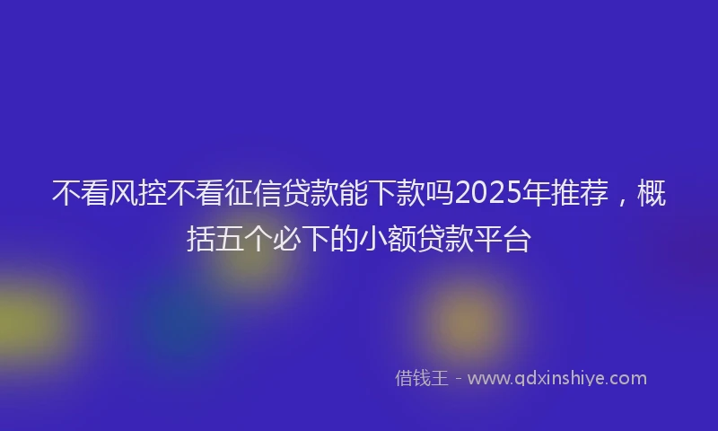 不看风控不看征信贷款能下款吗2025年推荐，概括五个必下的小额贷款平台