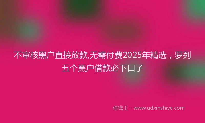 不审核黑户直接放款,无需付费2025年精选，罗列五个黑户借款必下口子