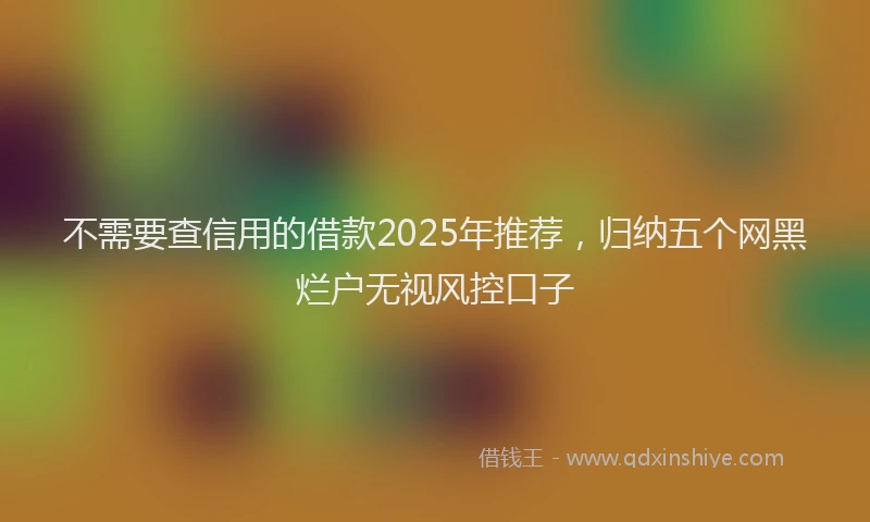不需要查信用的借款2025年推荐，归纳五个网黑烂户无视风控口子