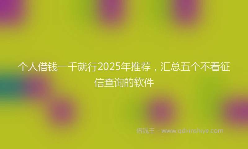 个人借钱一千就行2025年推荐，汇总五个不看征信查询的软件