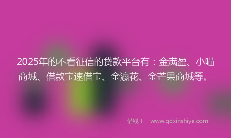 2025年的不看征信的贷款平台有：金满盈、小喵商城、借款宝速借宝、金瀛花、金芒果商城等。