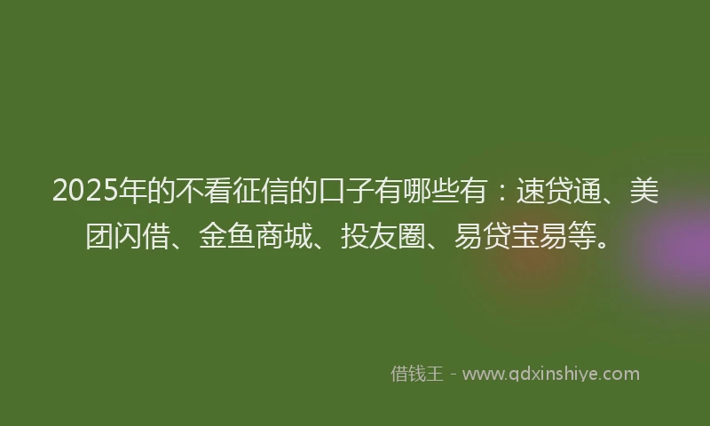2025年的不看征信的口子有哪些有：速贷通、美团闪借、金鱼商城、投友圈、易贷宝易等。