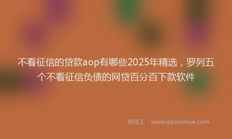 不看征信的贷款aop有哪些2025年精选，罗列五个不看征信负债的网贷百分百下款软件
