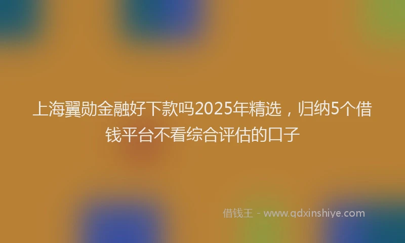 上海翼勋金融好下款吗2025年精选，归纳5个借钱平台不看综合评估的口子
