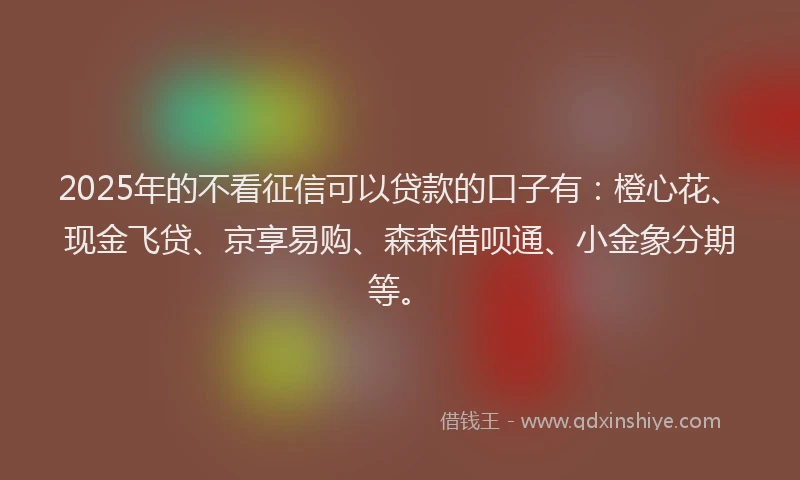 2025年的不看征信可以贷款的口子有：橙心花、现金飞贷、京享易购、森森借呗通、小金象分期等。