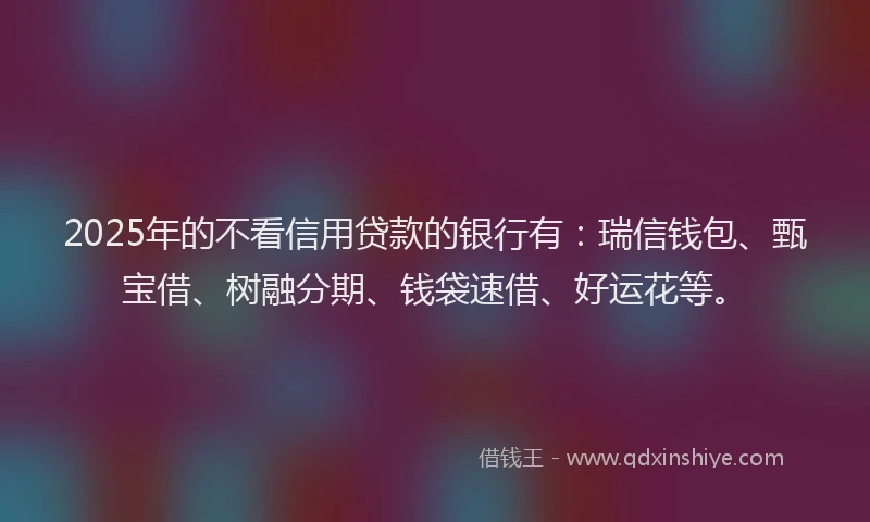 2025年的不看信用贷款的银行有：瑞信钱包、甄宝借、树融分期、钱袋速借、好运花等。