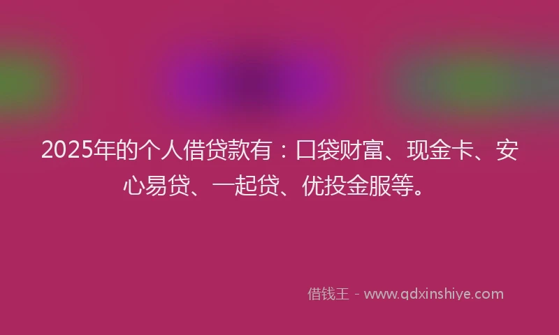 2025年的个人借贷款有：口袋财富、现金卡、安心易贷、一起贷、优投金服等。