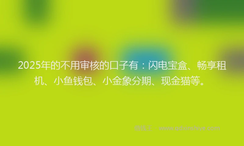 2025年的不用审核的口子有：闪电宝盒、畅享租机、小鱼钱包、小金象分期、现金猫等。
