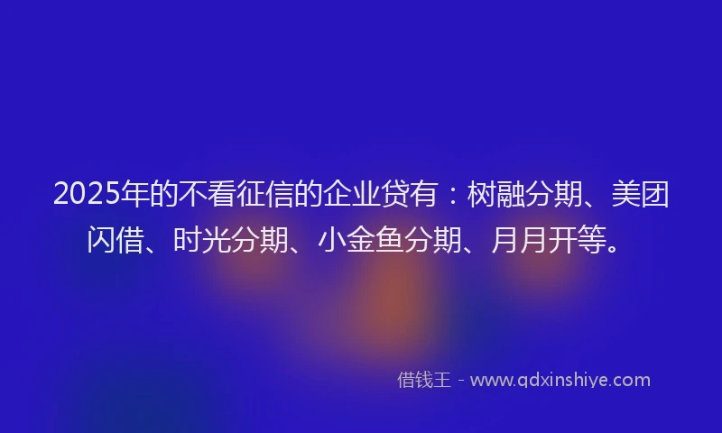 2025年的不看征信的企业贷有：树融分期、美团闪借、时光分期、小金鱼分期、月月开等。
