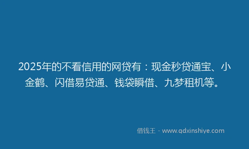2025年的不看信用的网贷有：现金秒贷通宝、小金鹤、闪借易贷通、钱袋瞬借、九梦租机等。
