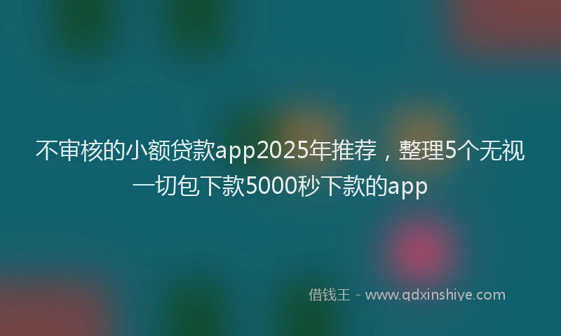 不审核的小额贷款app2025年推荐，整理5个无视一切包下款5000秒下款的app