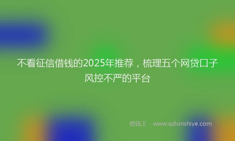 不看征信借钱的2025年推荐，梳理五个网贷口子风控不严的平台