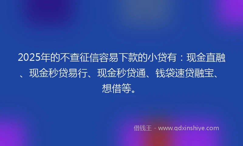 2025年的不查征信容易下款的小贷有：现金直融、现金秒贷易行、现金秒贷通、钱袋速贷融宝、想借等。