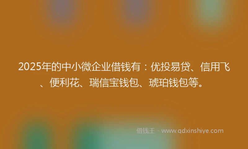 2025年的中小微企业借钱有：优投易贷、信用飞、便利花、瑞信宝钱包、琥珀钱包等。