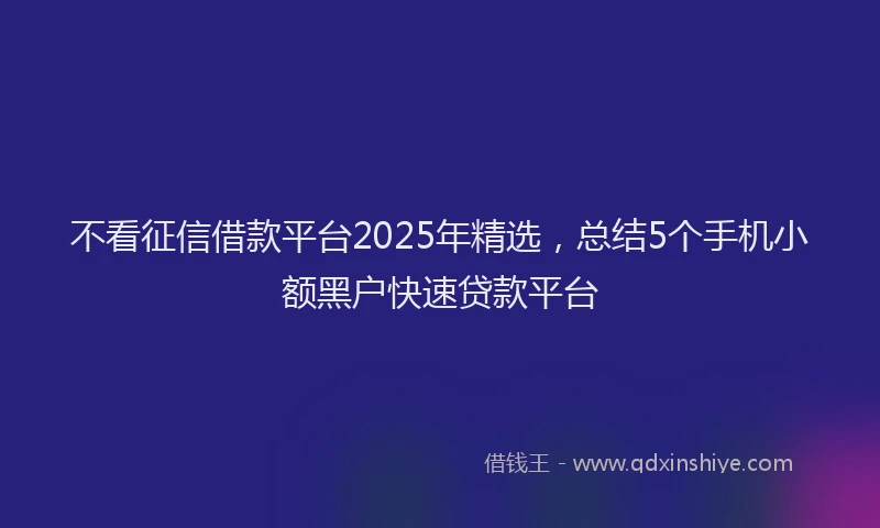 不看征信借款平台2025年精选，总结5个手机小额黑户快速贷款平台
