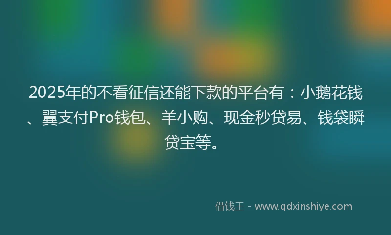 2025年的不看征信还能下款的平台有：小鹅花钱、翼支付Pro钱包、羊小购、现金秒贷易、钱袋瞬贷宝等。