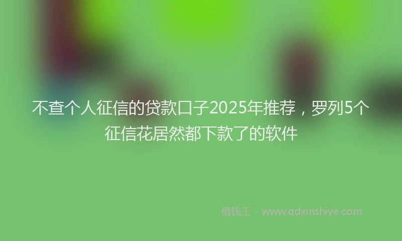 不查个人征信的贷款口子2025年推荐，罗列5个征信花居然都下款了的软件